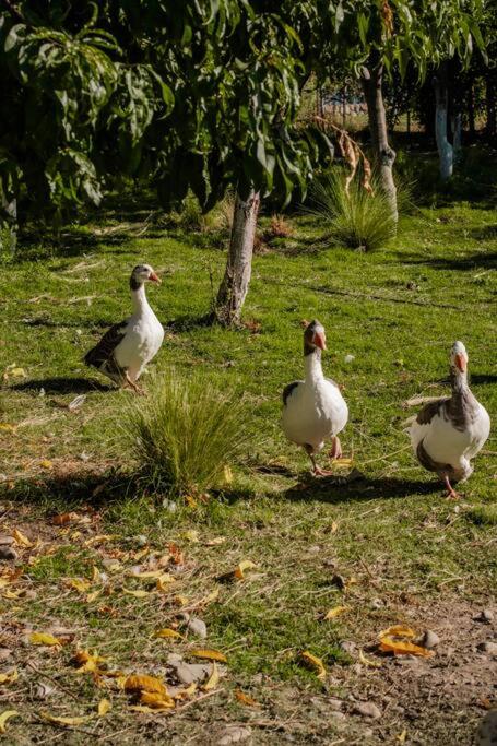 Casa de Campo Kagua Kolke 8Pax By Inside