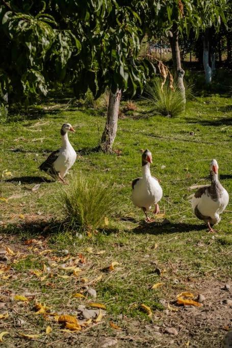 Casa de Campo Kagua Kolke 6Pax By Inside