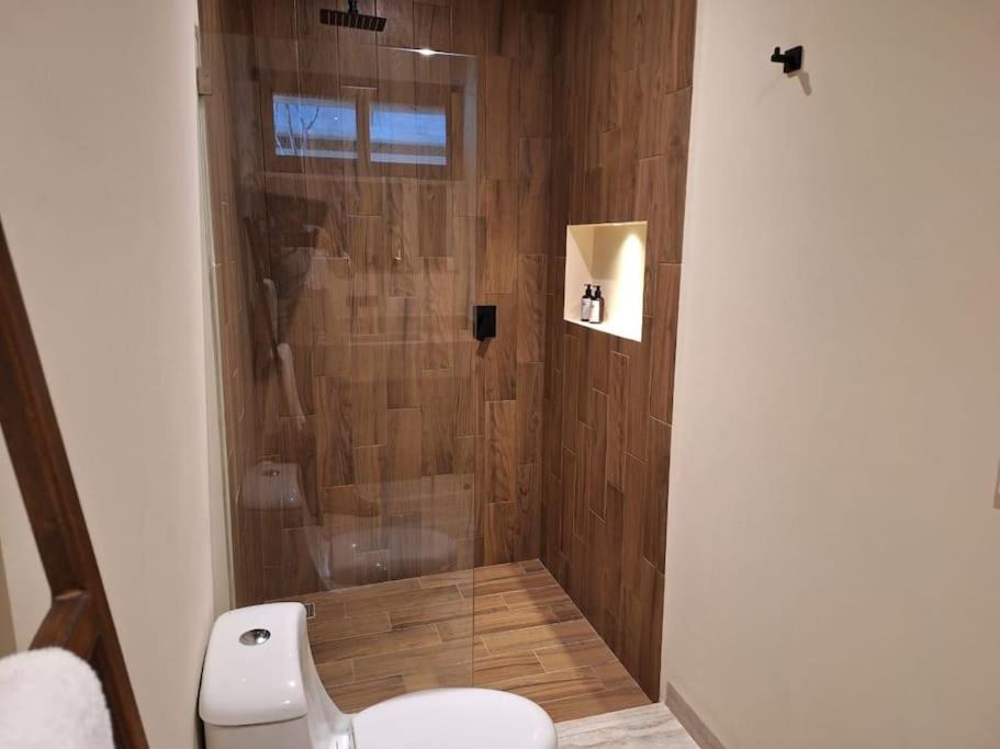 Penthouse con alberca privada