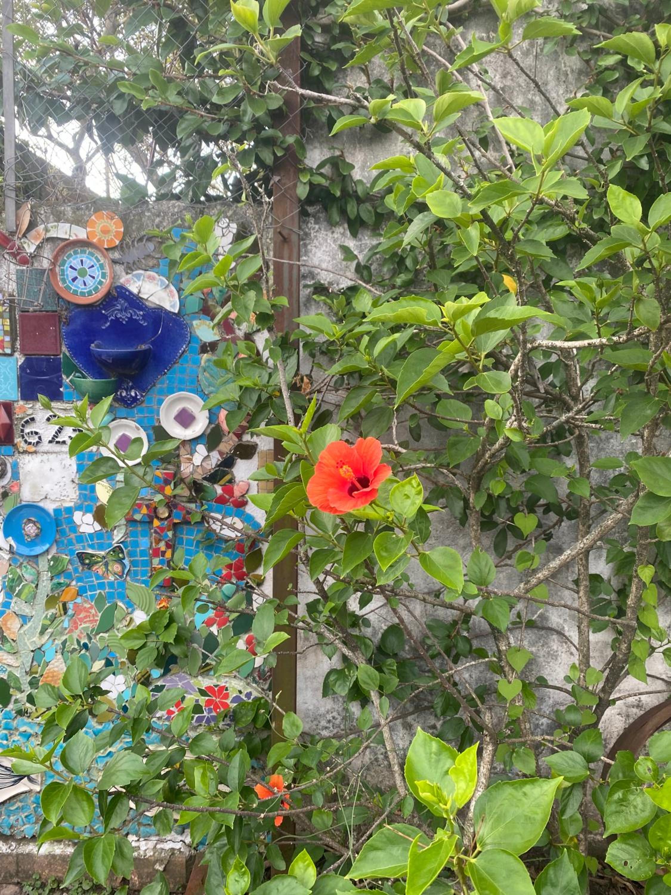 La Casita de Bogado