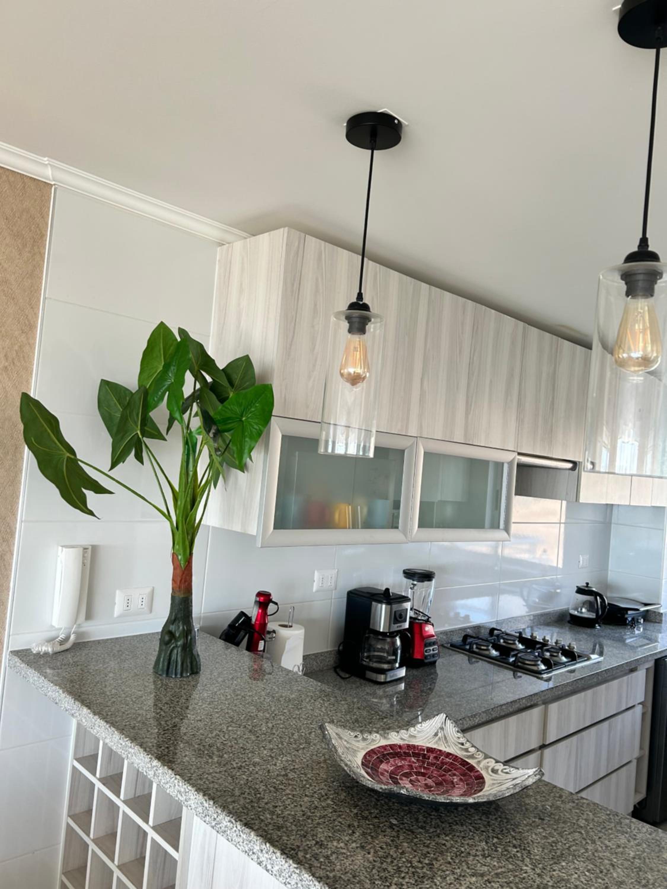 Algarrobo excepcional departamento