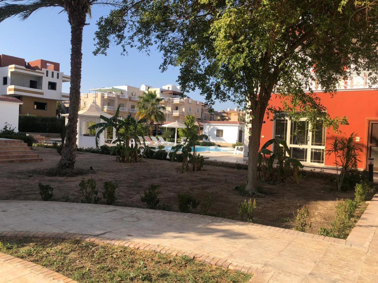 studio for daily rent