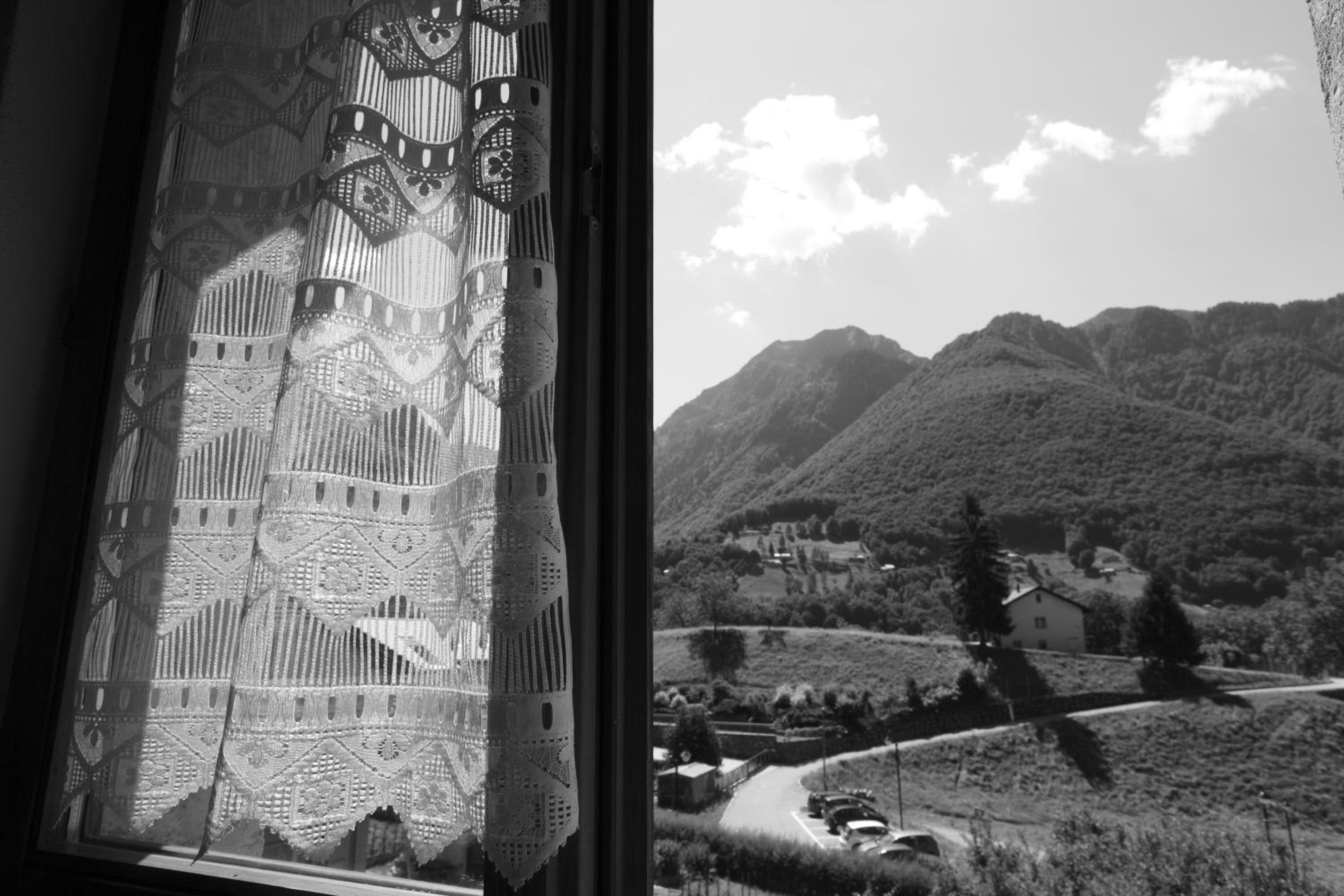 Photo 44
