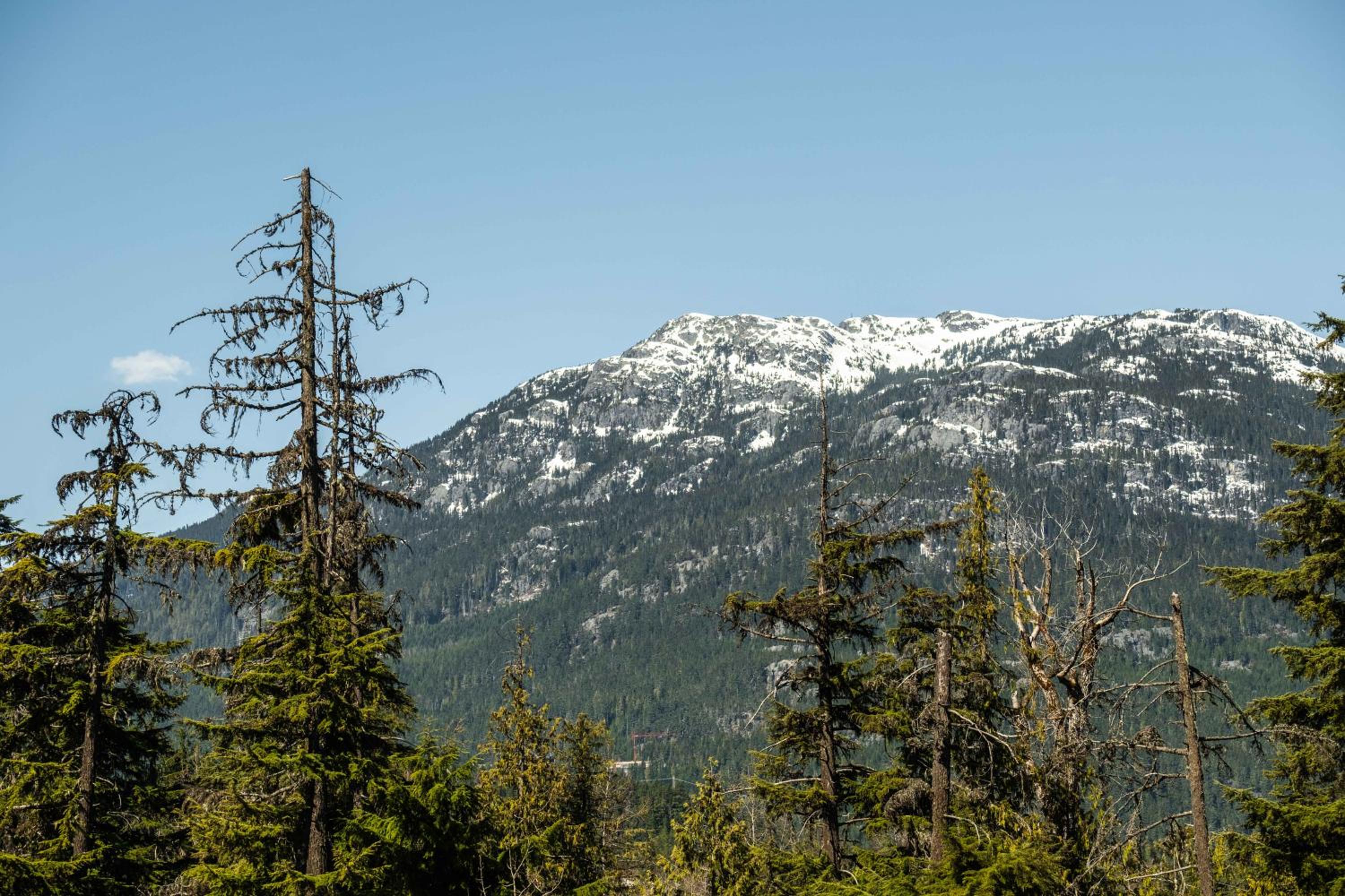 Le Chamois by Outpost Whistler