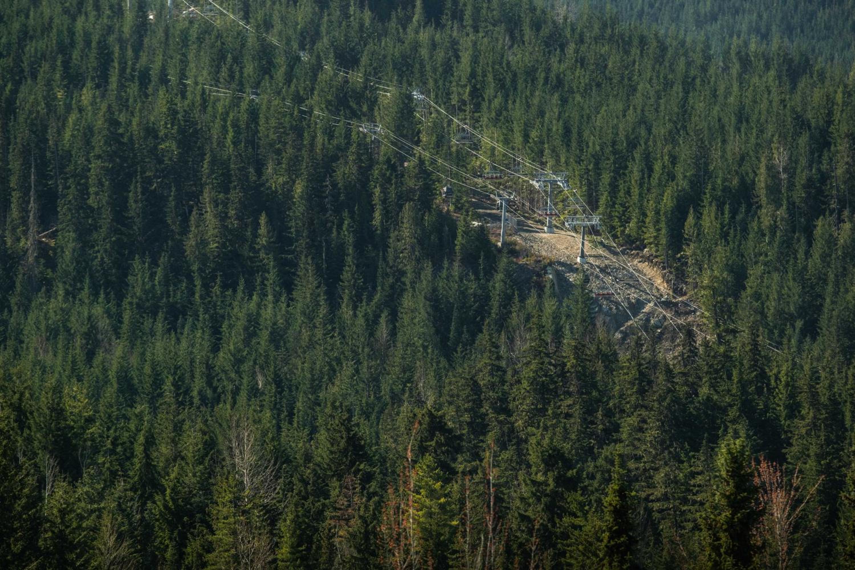 Le Chamois by Outpost Whistler