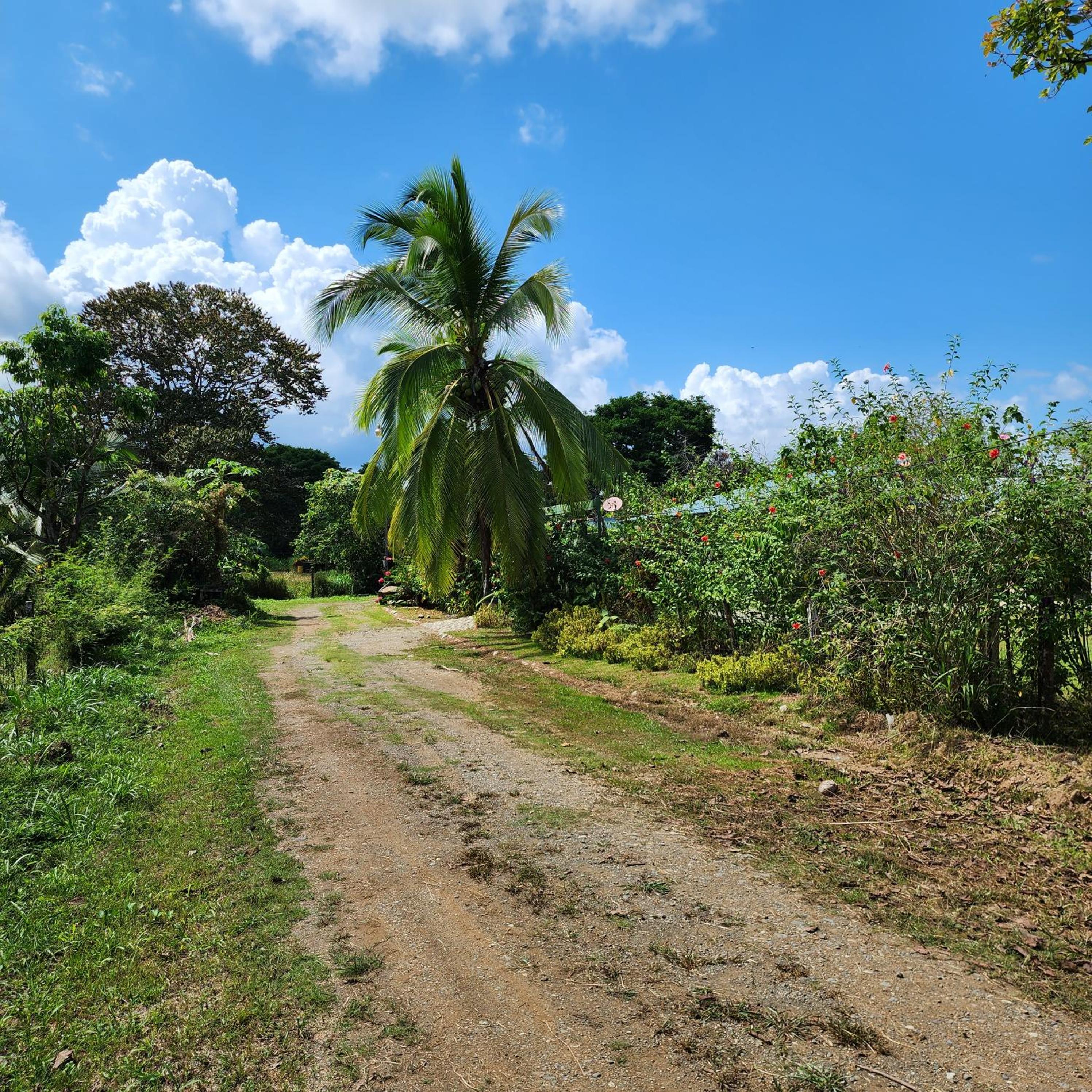 Villa Verde