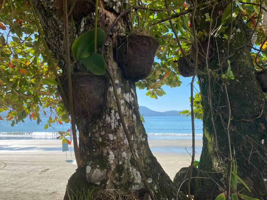 Linda Casa, pé na areia na praia da Fortaleza Ubatuba