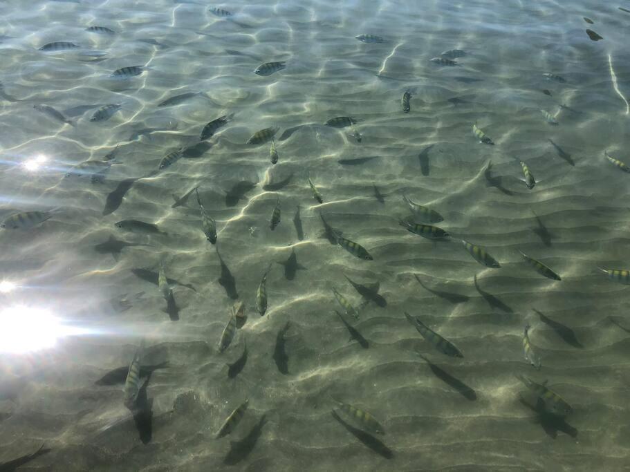 Linda Casa, pé na areia na praia da Fortaleza Ubatuba