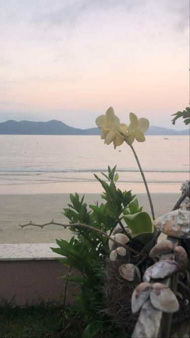 Linda Casa, pé na areia na praia da Fortaleza Ubatuba