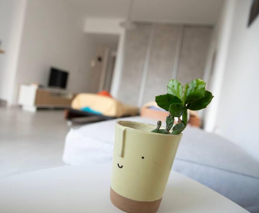 Comfy studio in Palermo