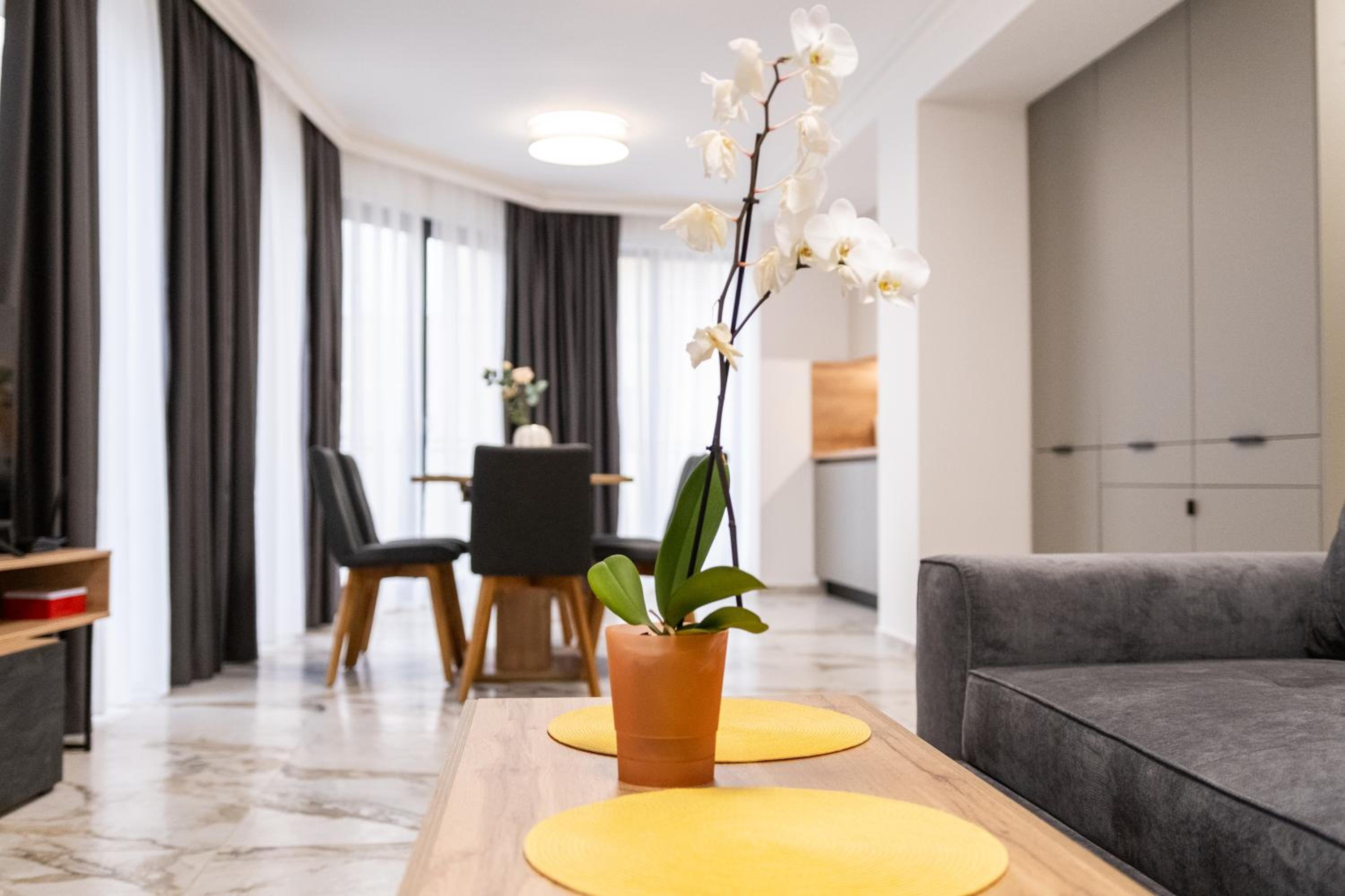 Modern 1-Bedroom Apartments