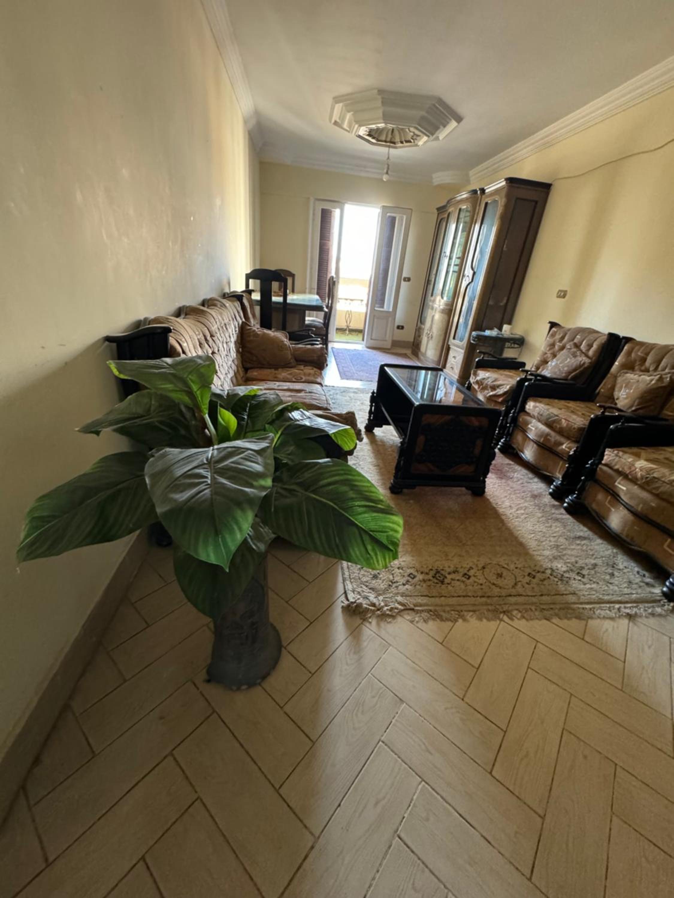Alexandria Downtown Apartment