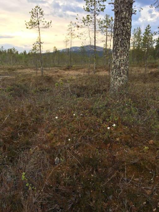 Keloparitalon loma-asunto Ylläs-näkymällä ja paljulla