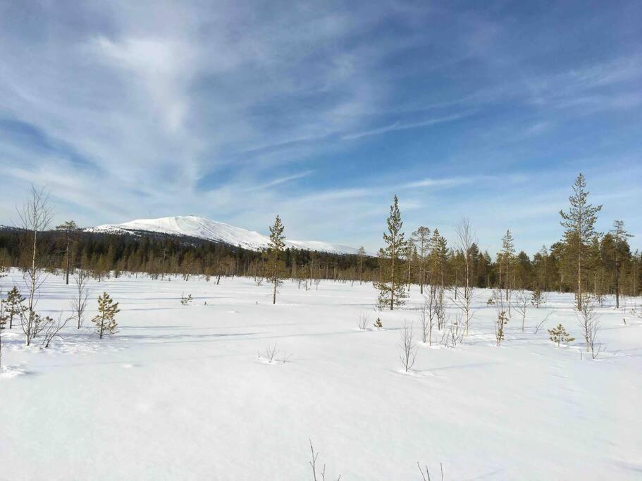 Keloparitalon loma-asunto Ylläs-näkymällä ja paljulla