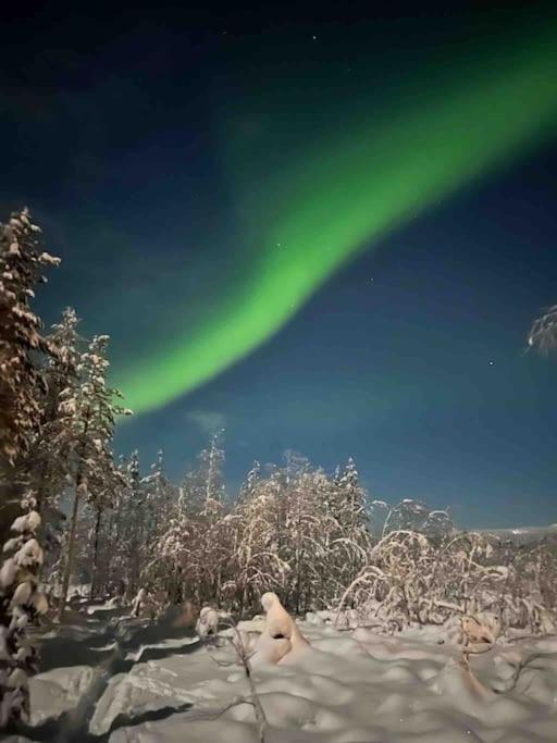 Keloparitalon loma-asunto Ylläs-näkymällä ja paljulla