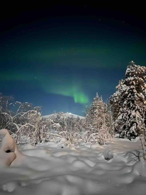 Keloparitalon loma-asunto Ylläs-näkymällä ja paljulla