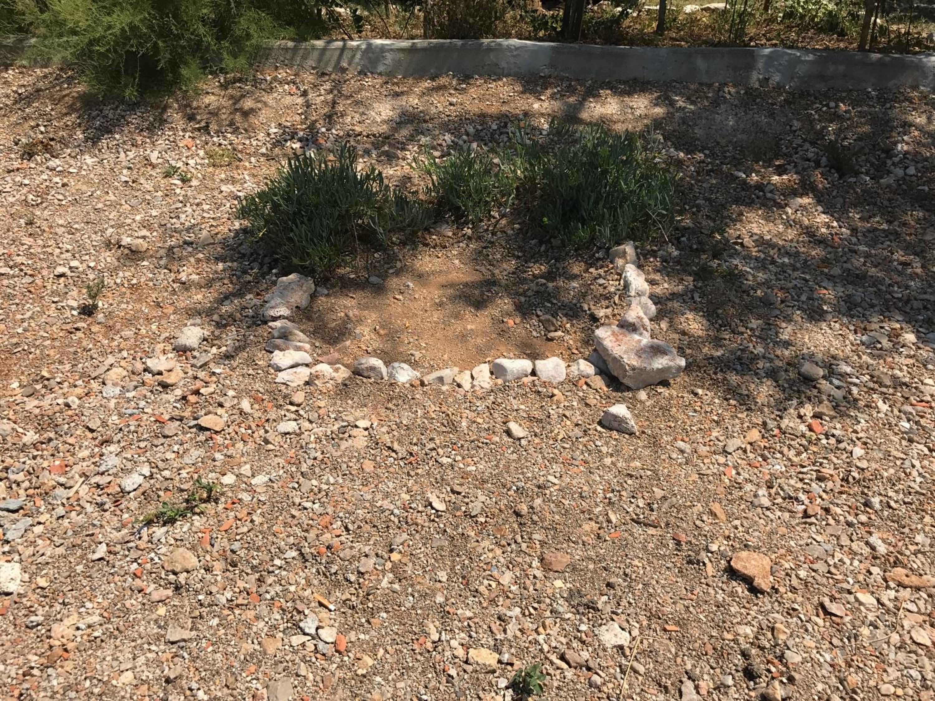 Photo 21