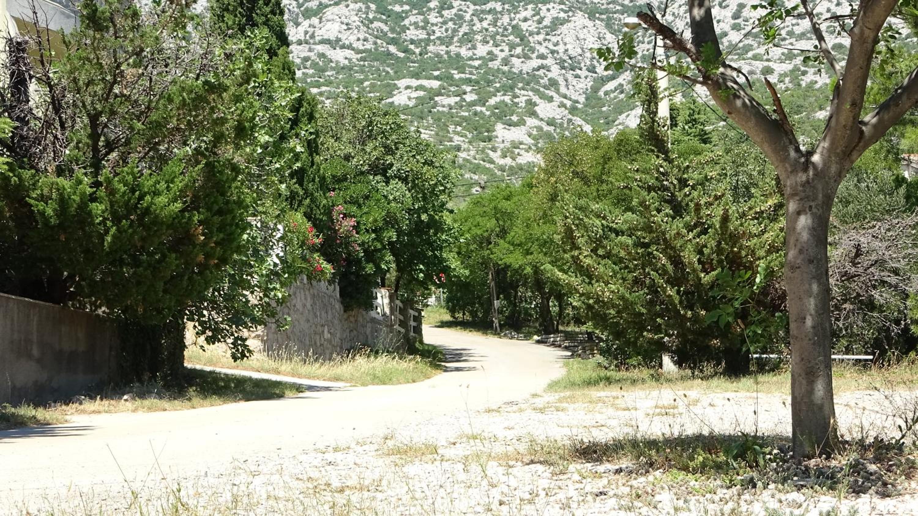 Photo 46