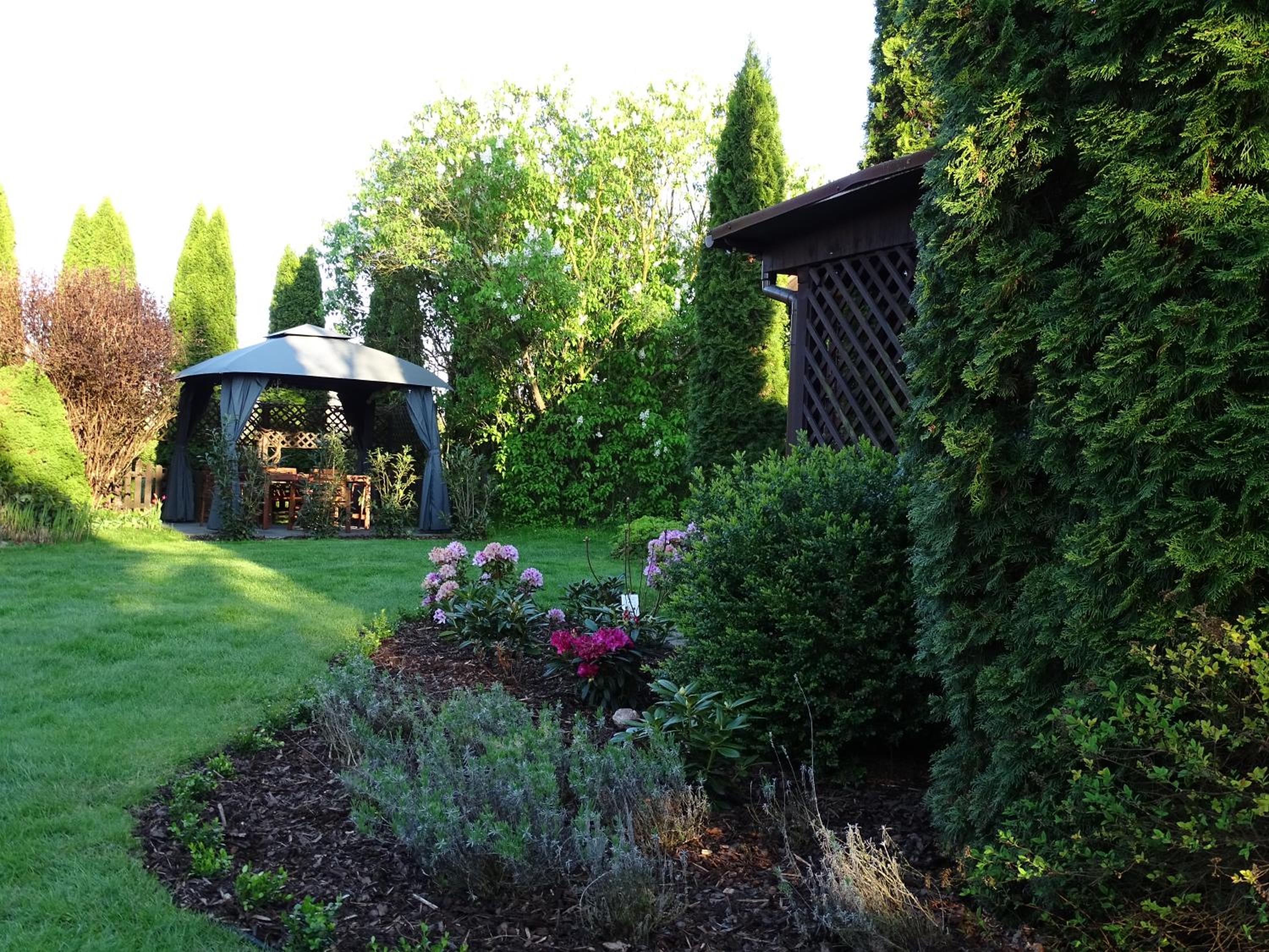 Photo 31