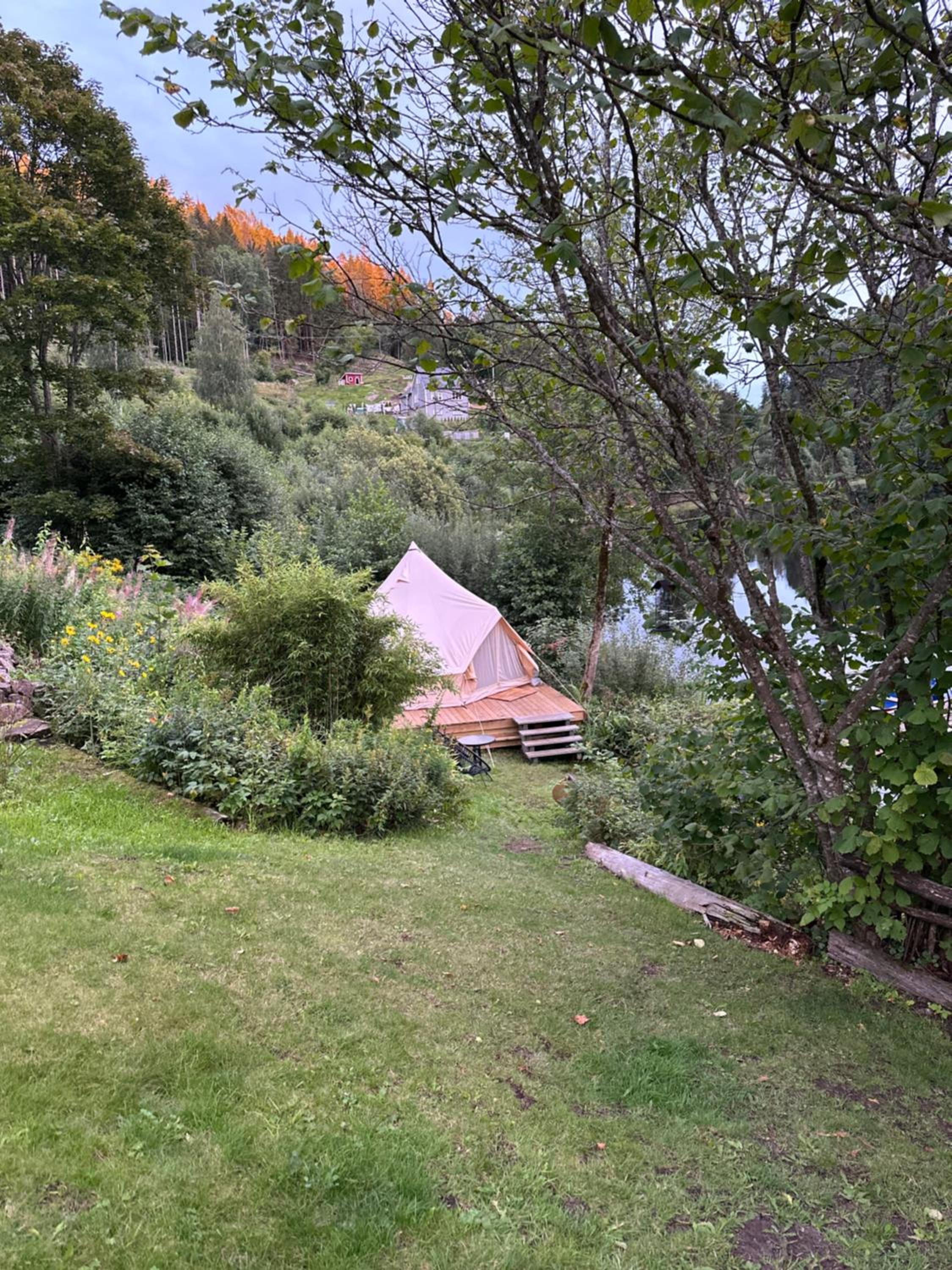 Photo 16