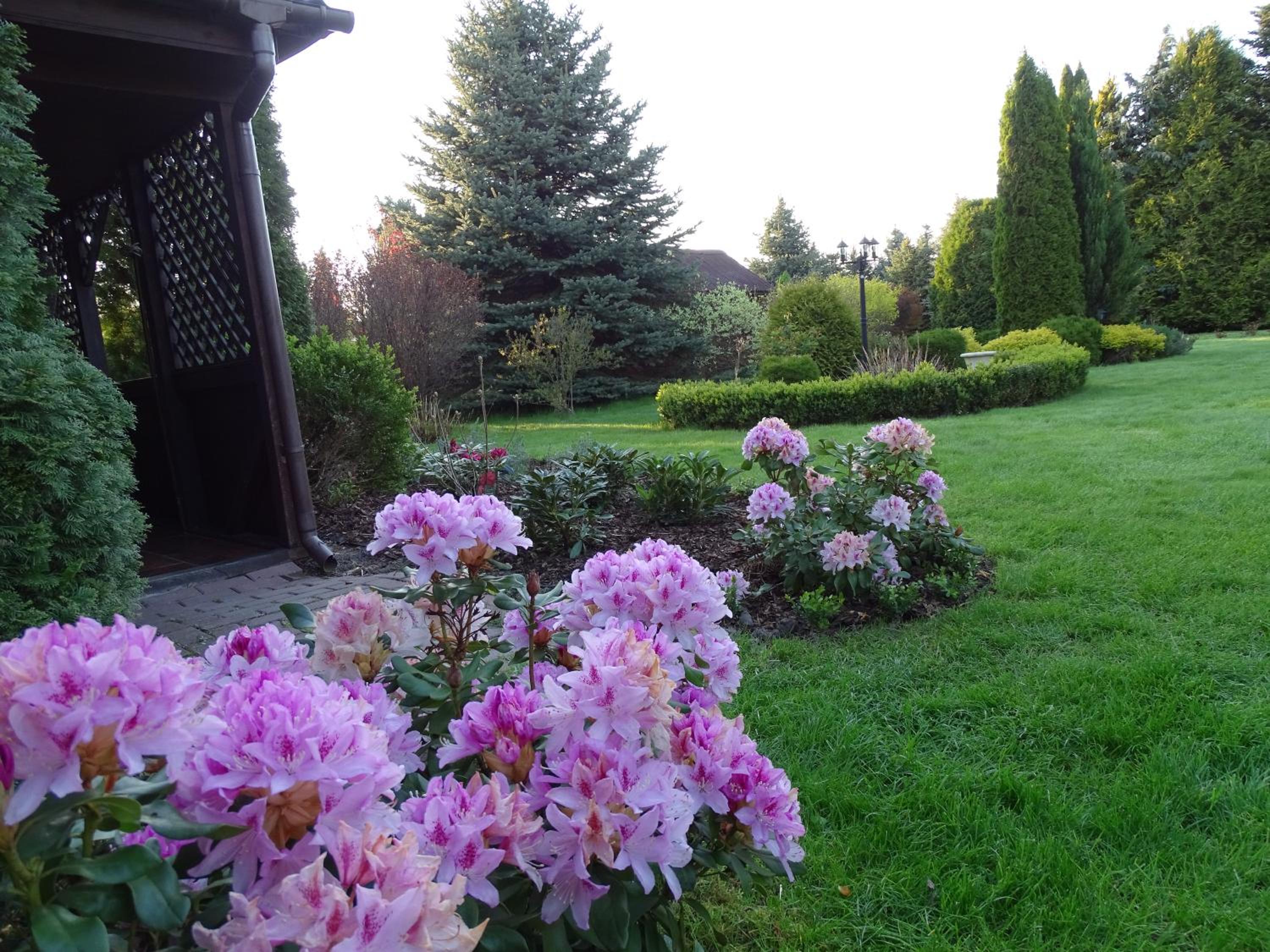 Photo 49