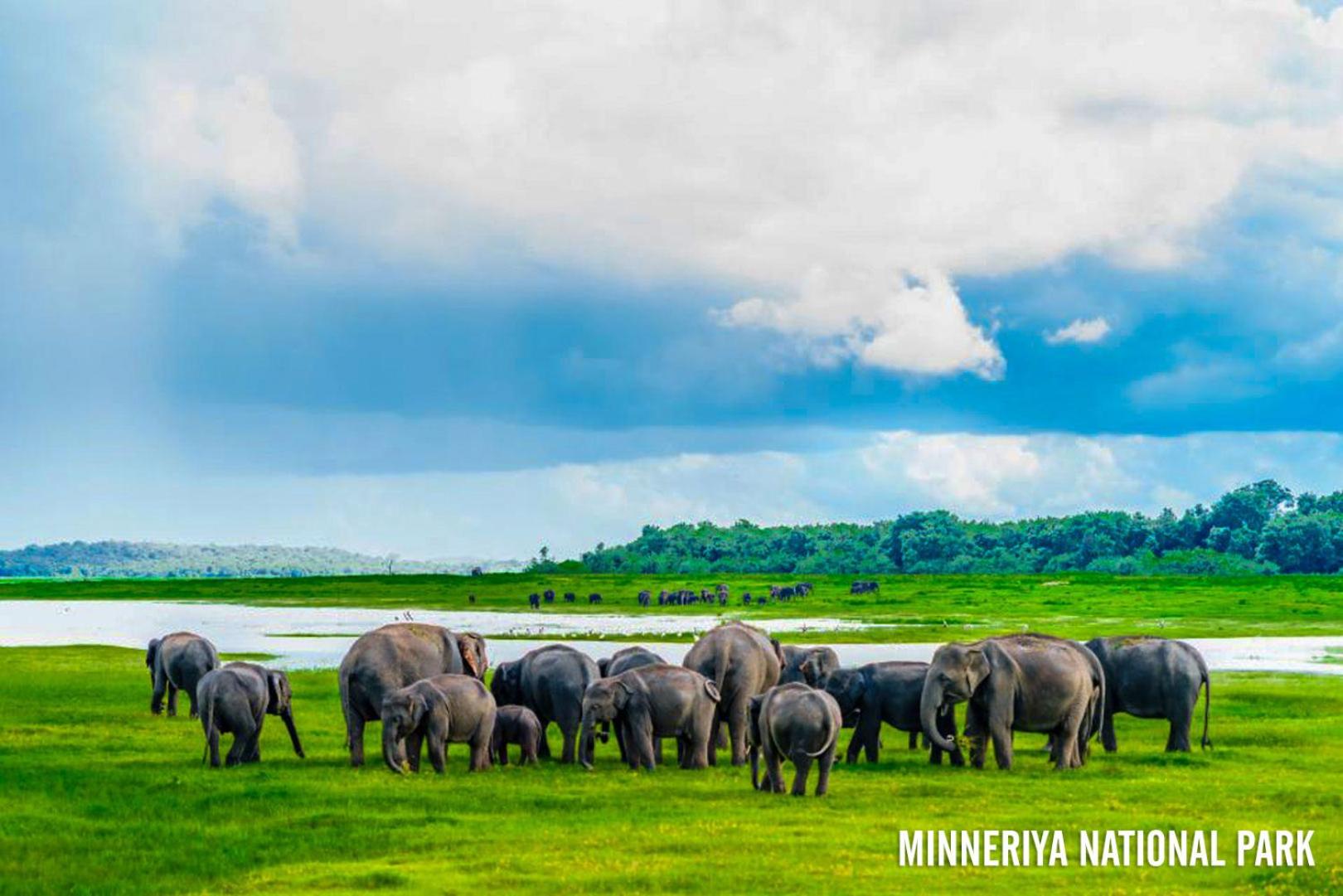 Sigiriya Forest Edge By Marino Leisure