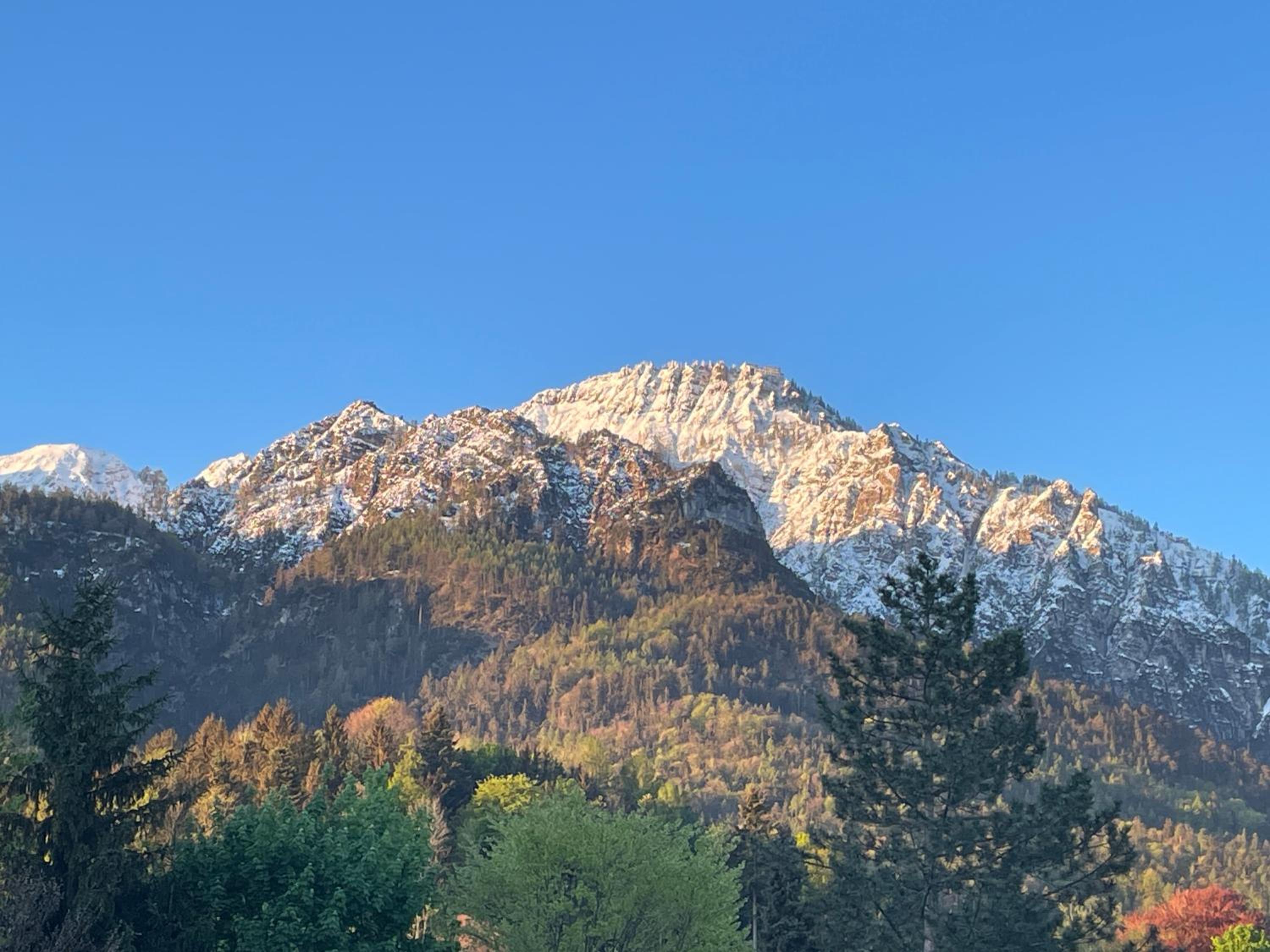 Ferienwohnung Sonnenpanorama