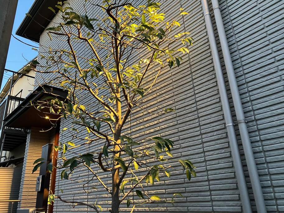 Leaf Village view 2