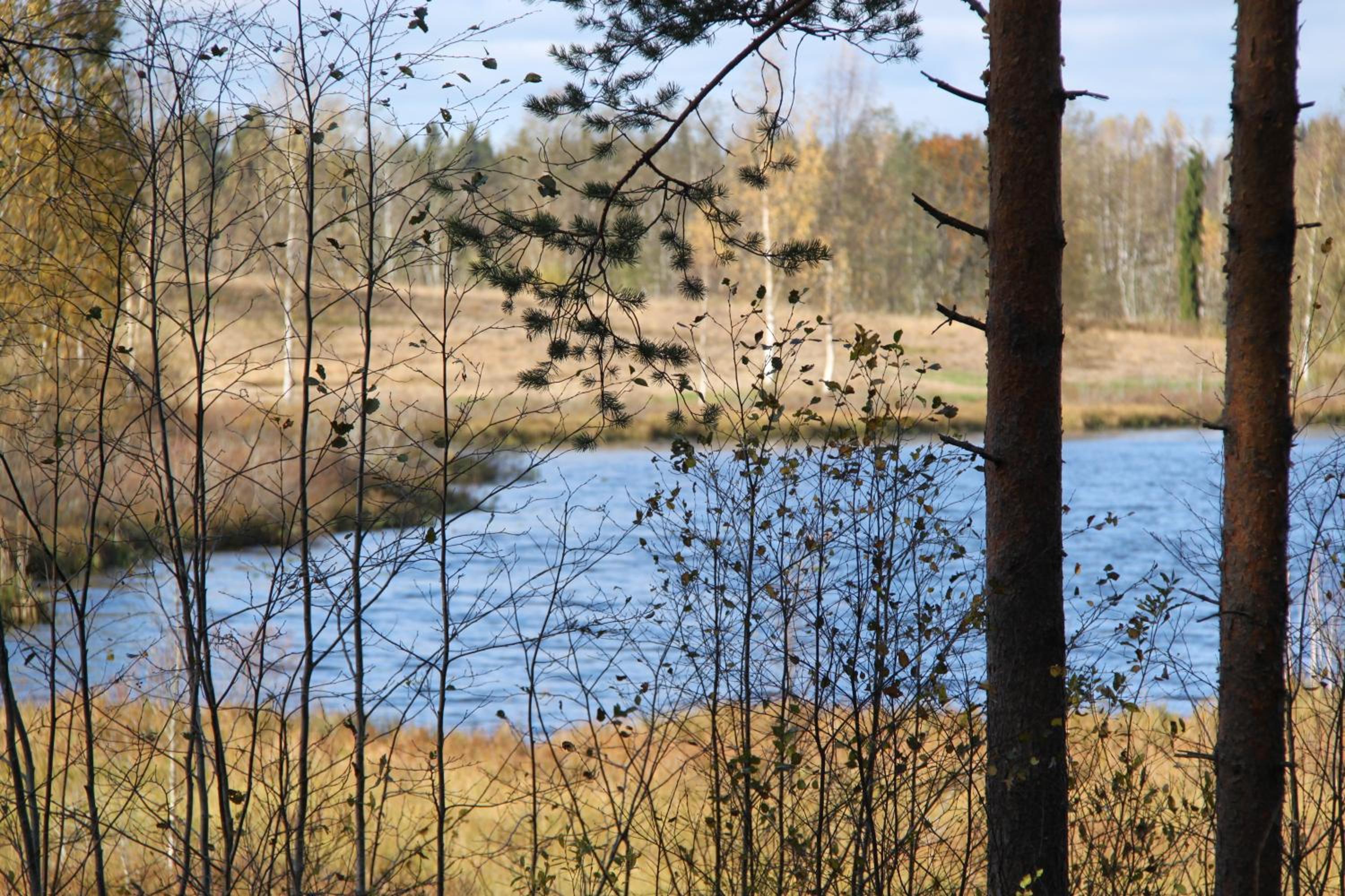 Photo 51