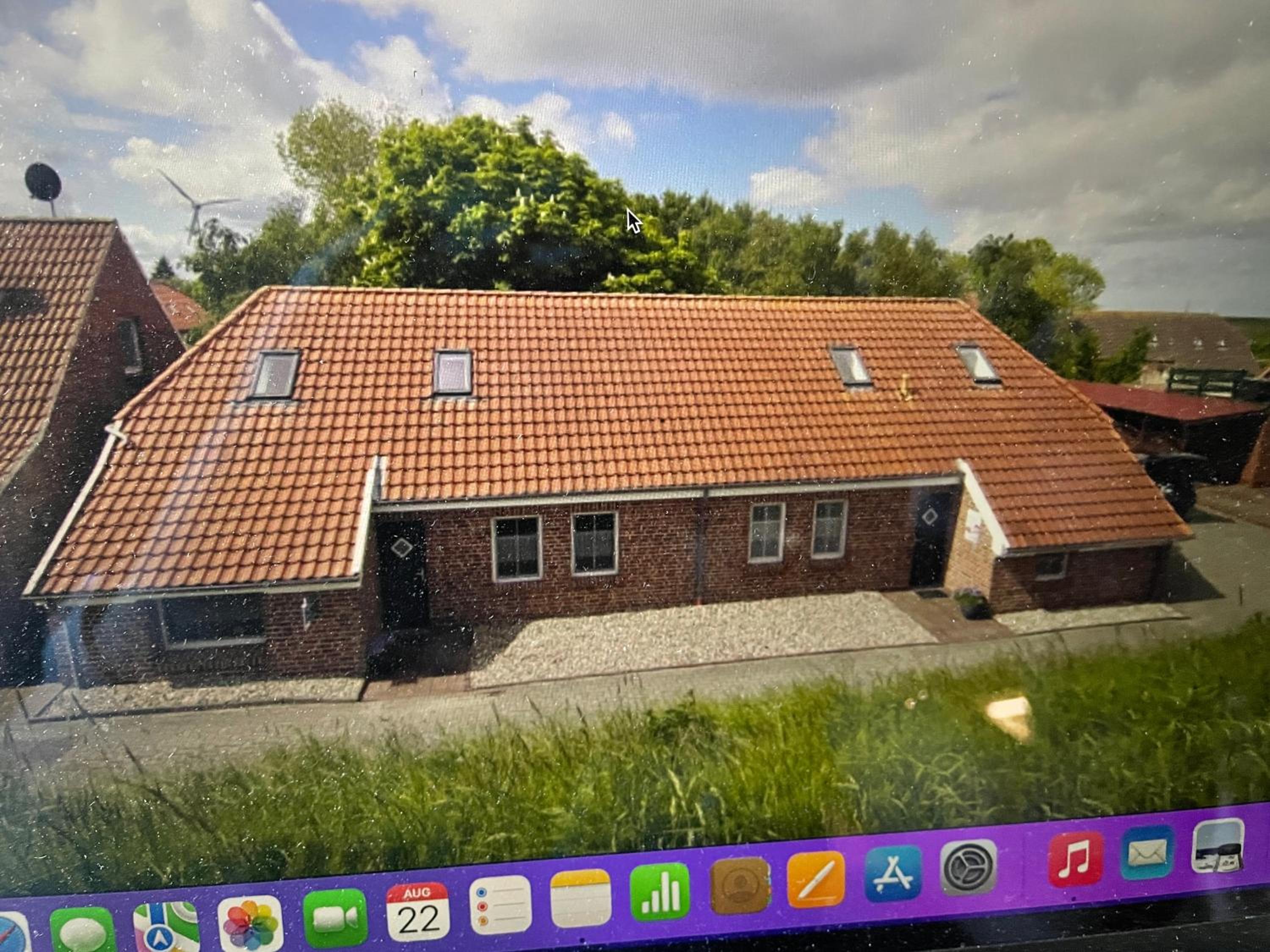 Minikrabbe