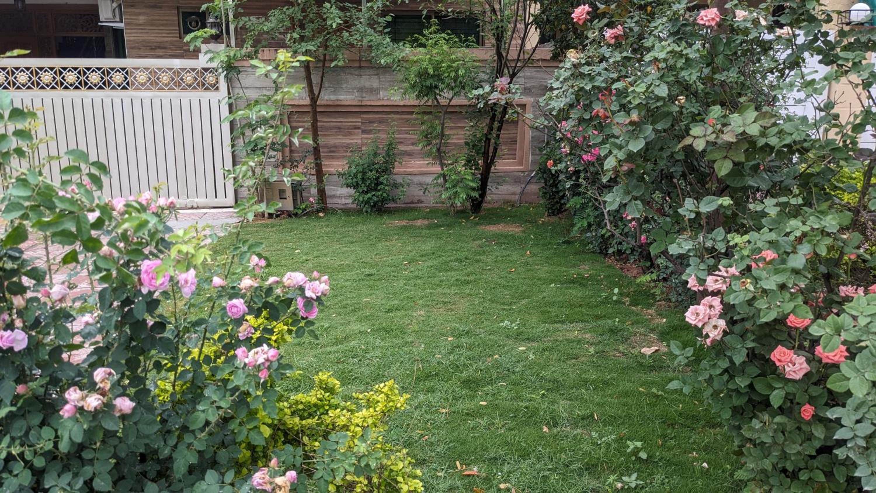 Photo 16