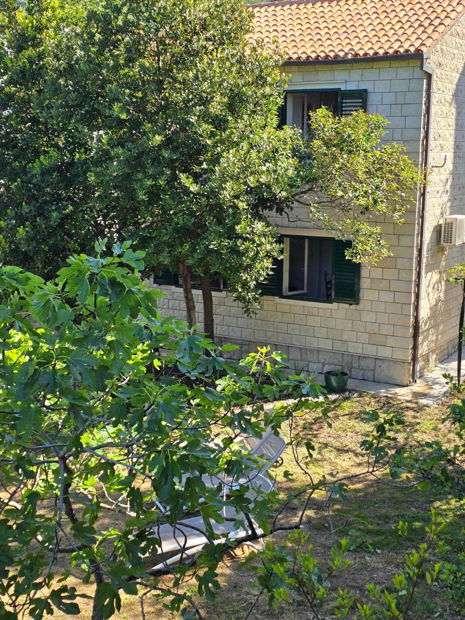 Photo 48
