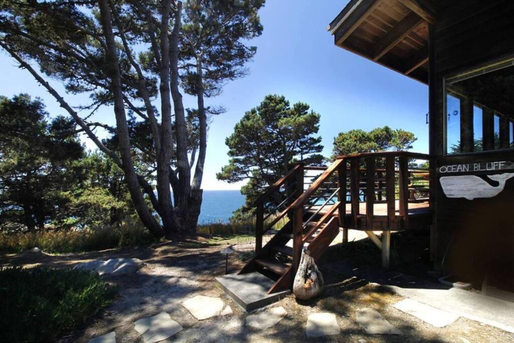 Ocean Bluff Serenity