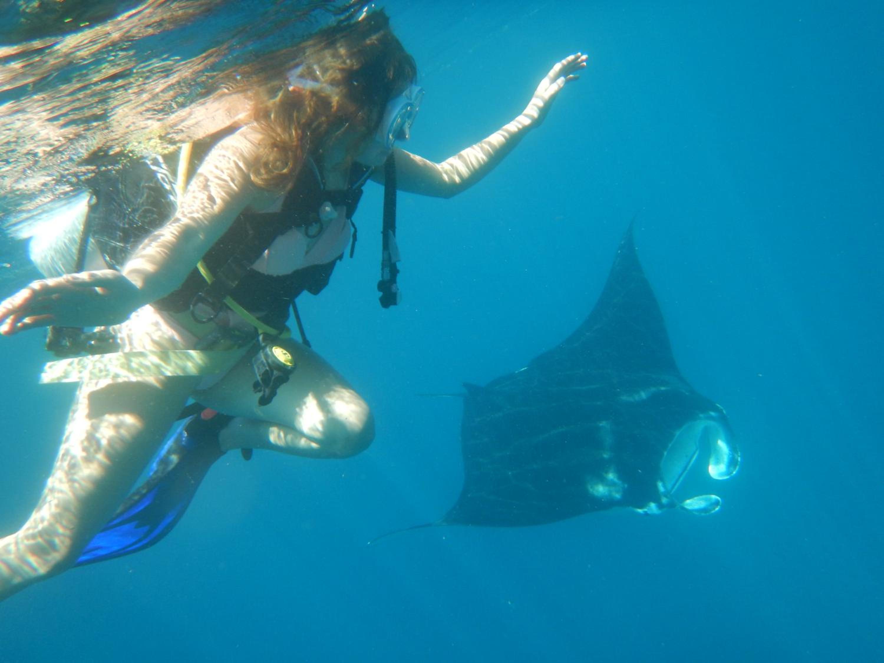 Raja Ampat Blue Sea