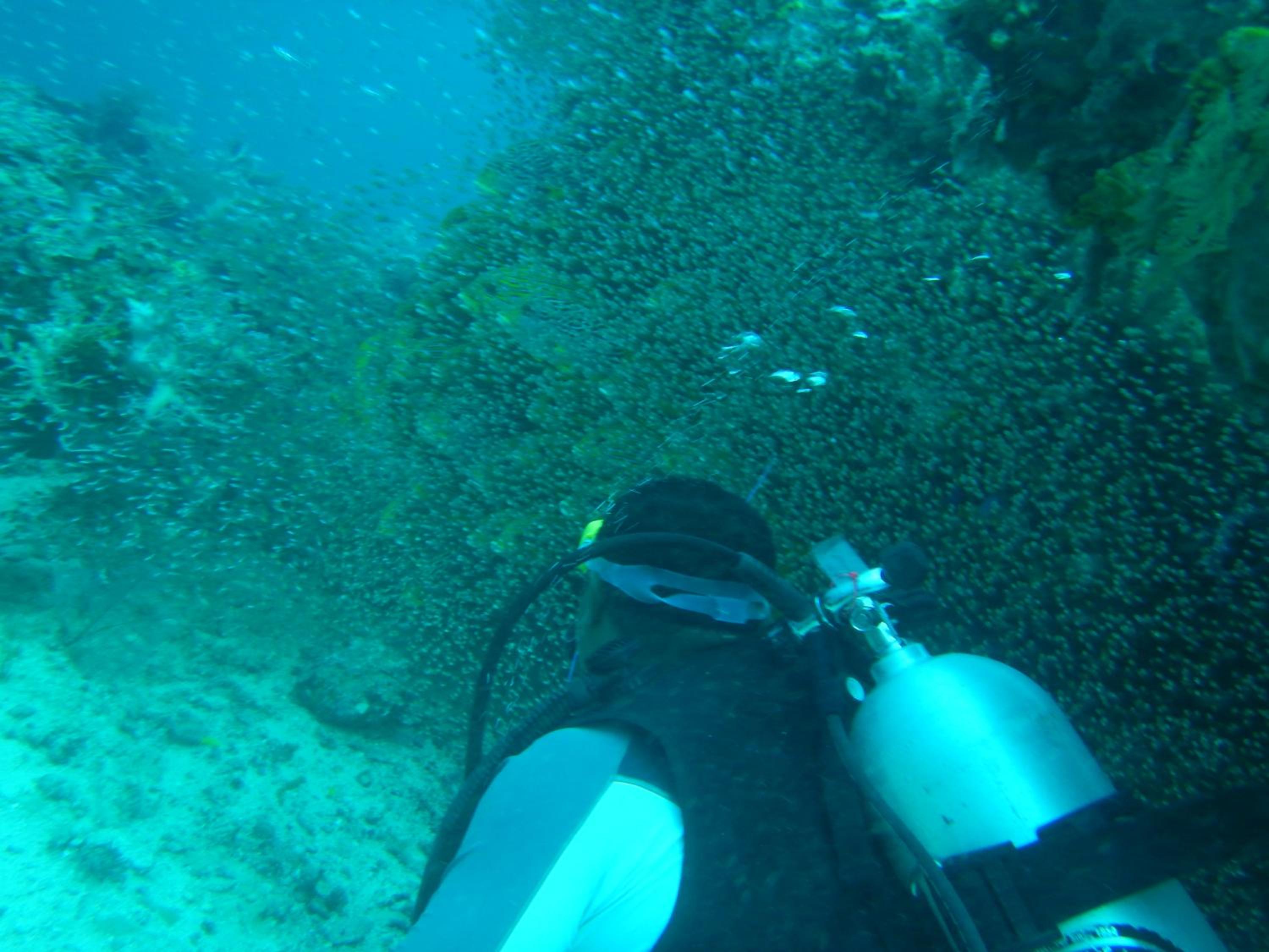 Raja Ampat Blue Sea