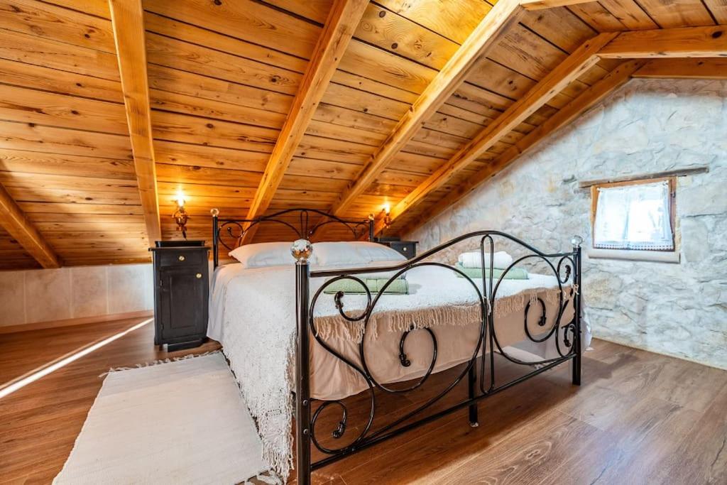Villa Vidonjica