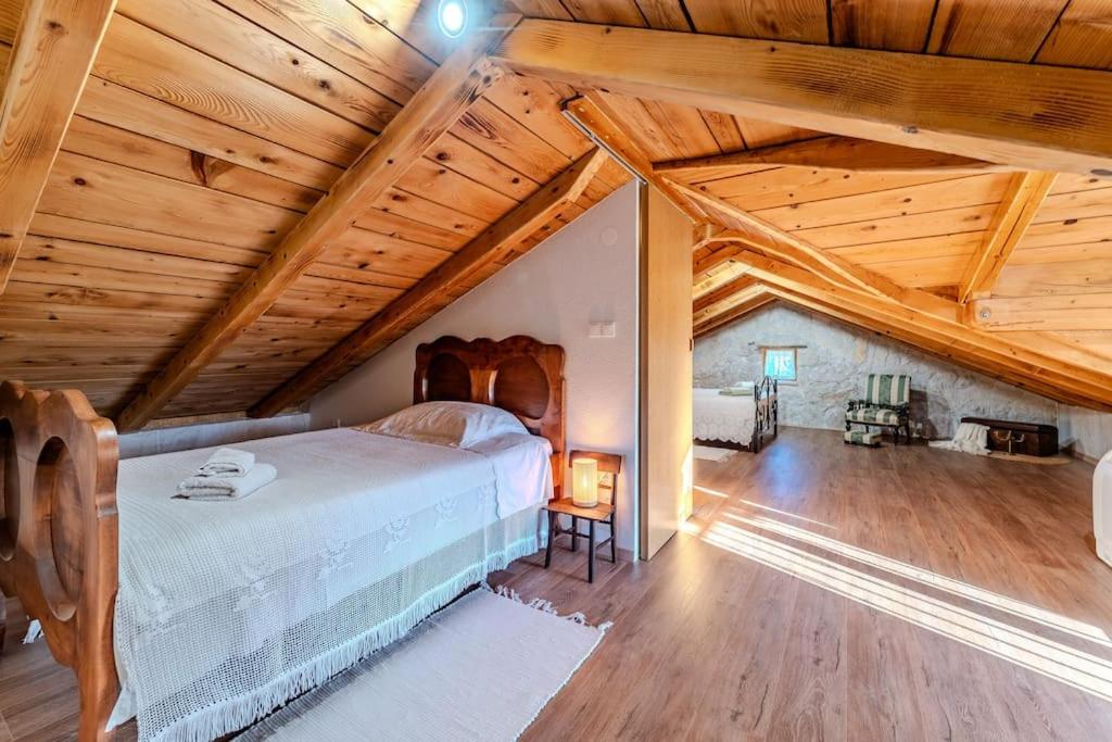 Villa Vidonjica