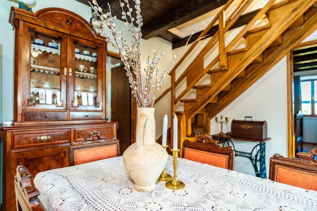 Villa Vidonjica