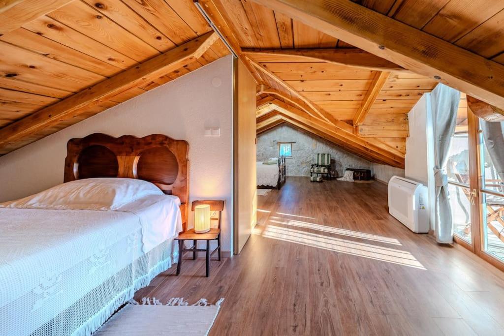 Villa Vidonjica