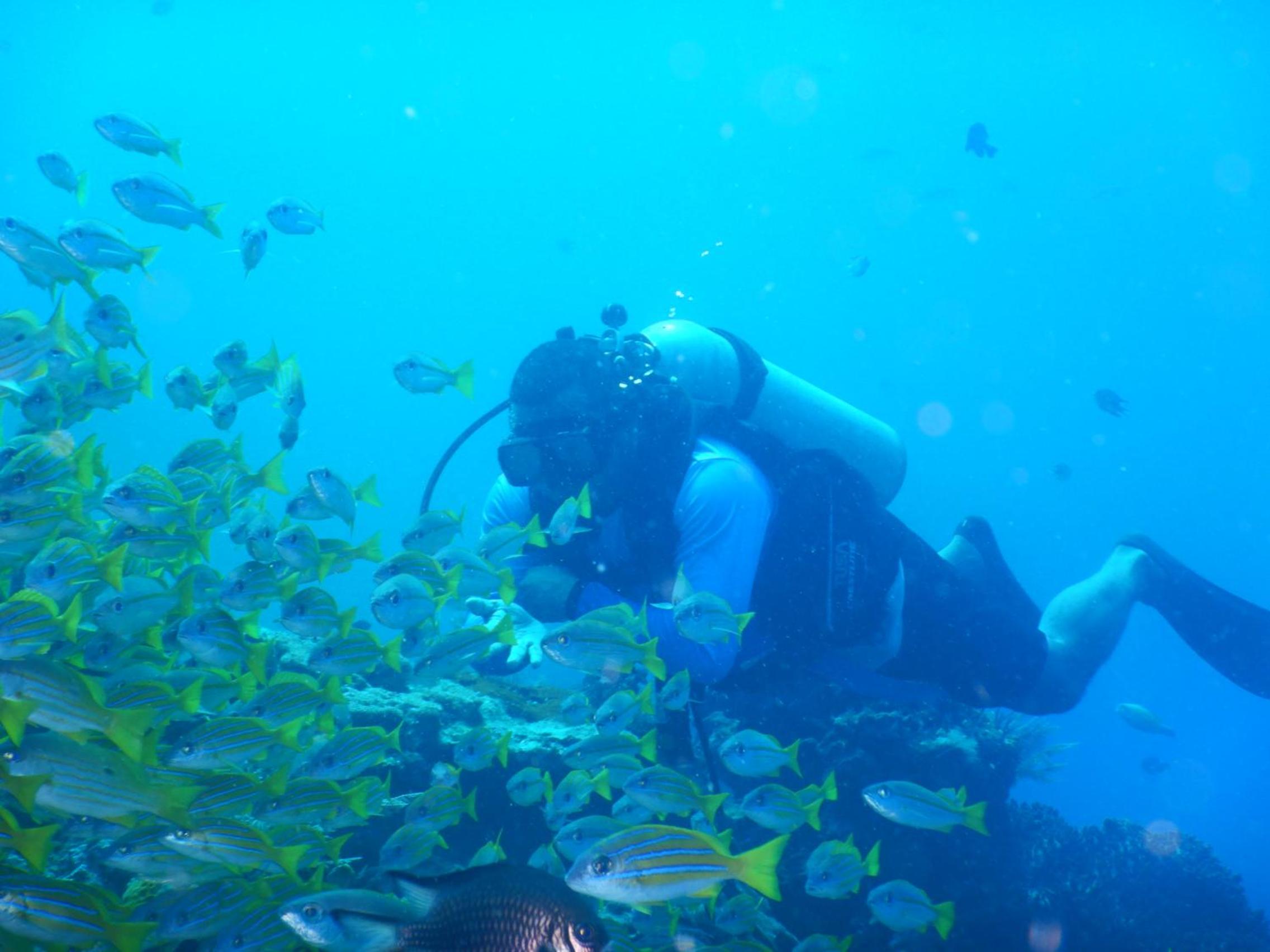 Raja Ampat Blue Sea