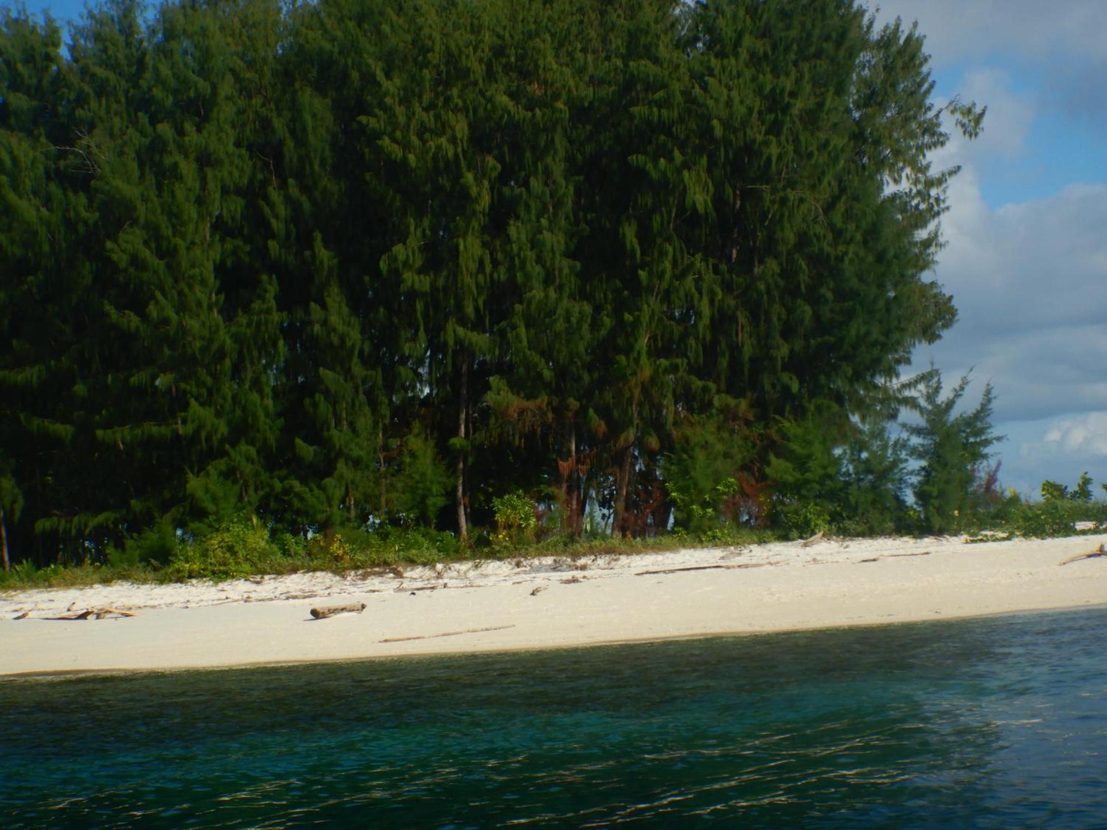 Raja Ampat Blue Sea