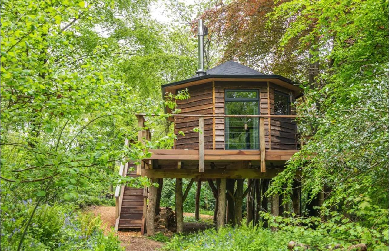 Unique Secluded Romantic Treehouse in Cornwall, sleeps 2