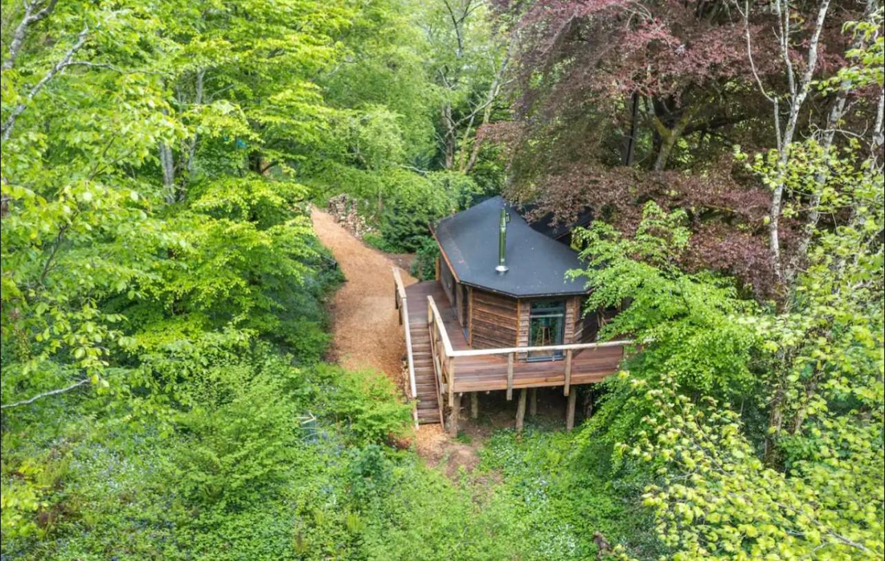 Unique Secluded Romantic Treehouse in Cornwall, sleeps 2
