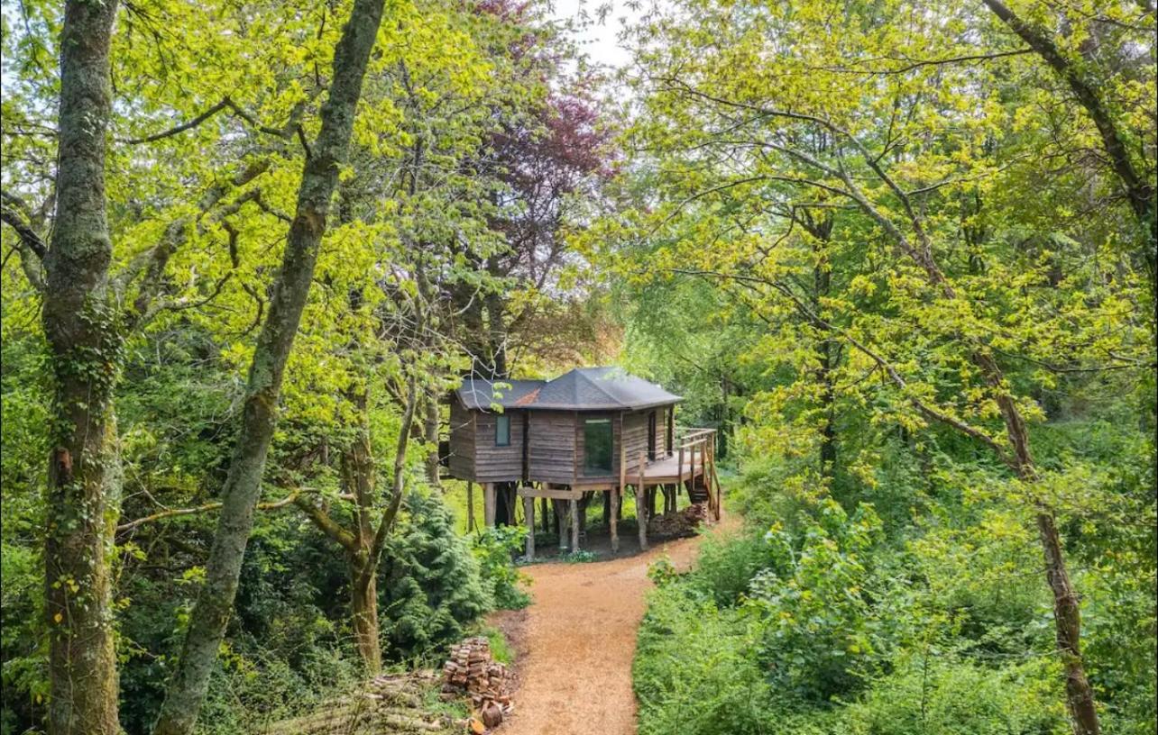 Unique Secluded Romantic Treehouse in Cornwall, sleeps 2