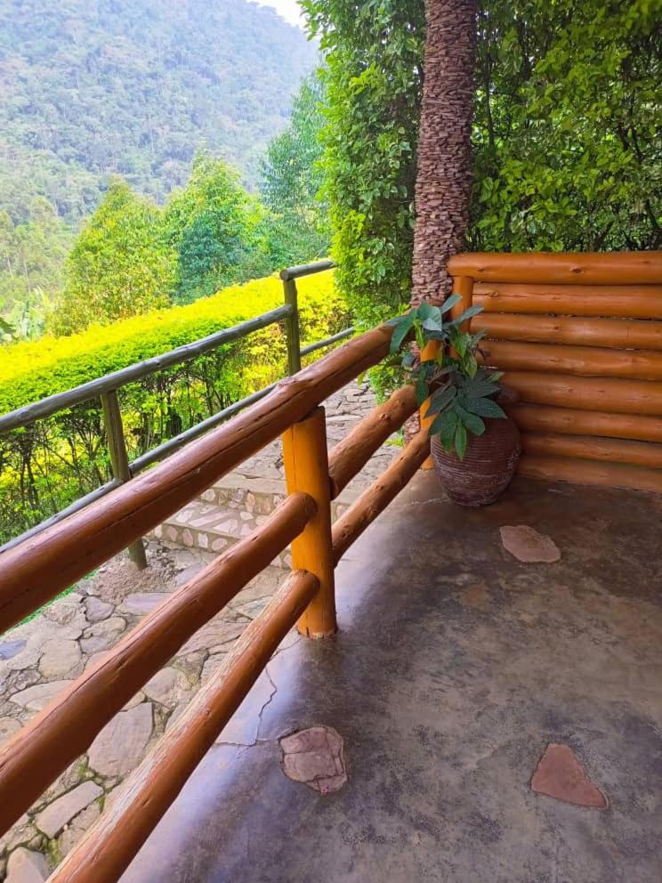 Bwindi Forest Lodge view 3