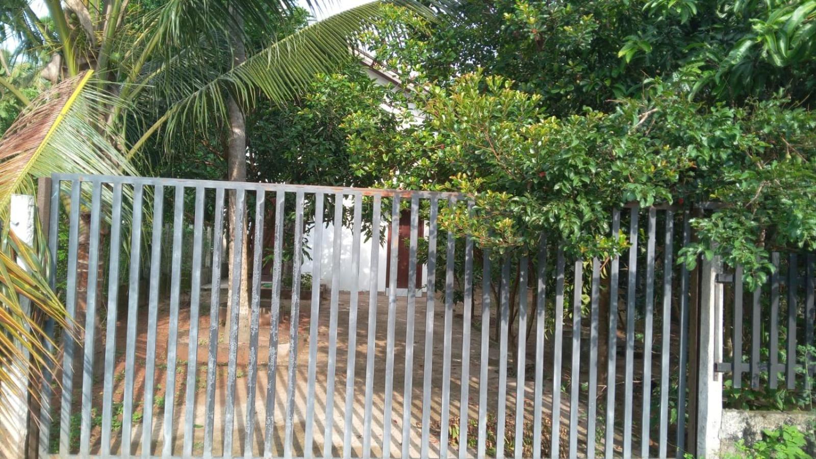 Oasis Villa