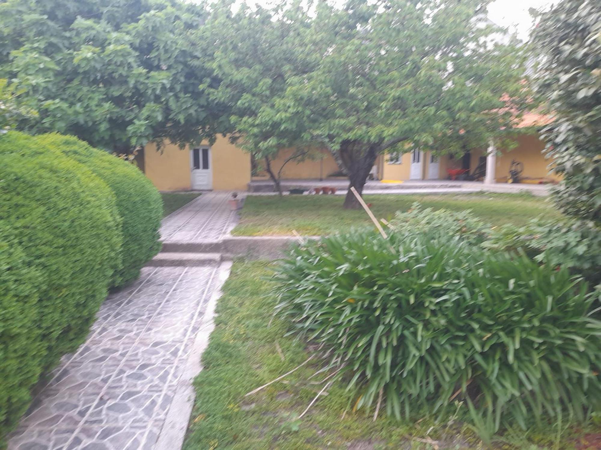 Photo 48