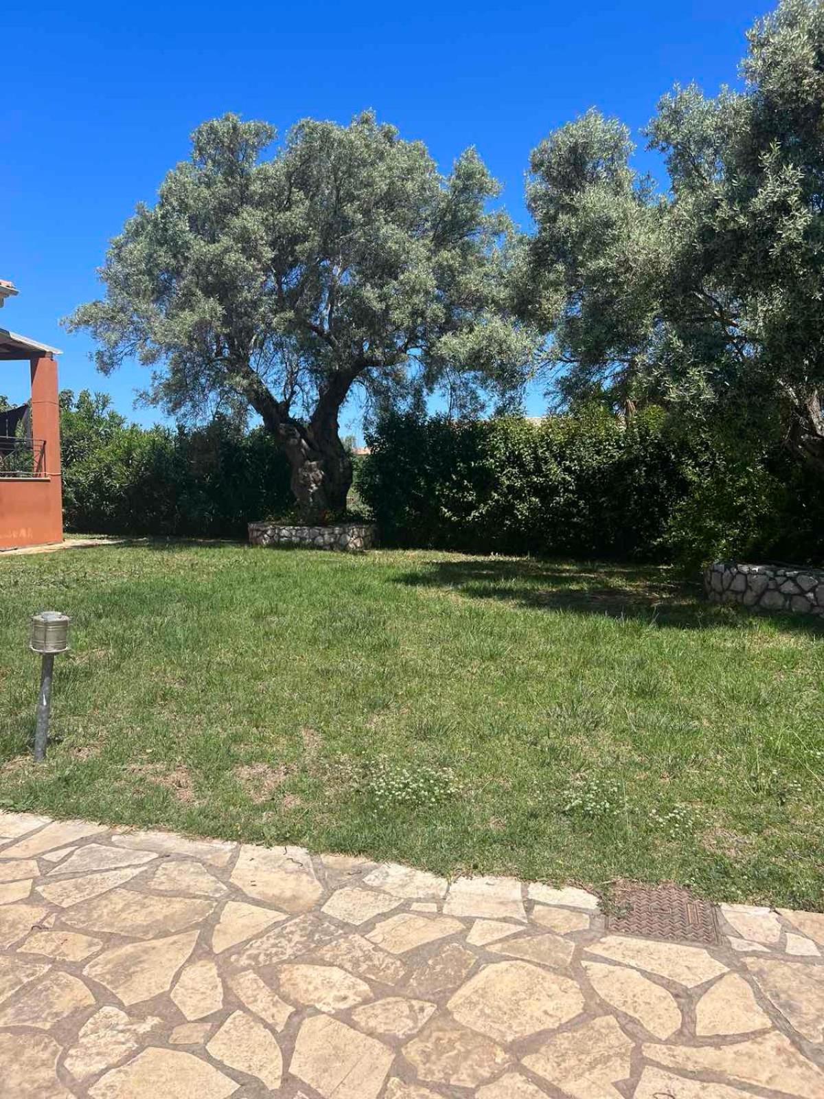 Photo 57