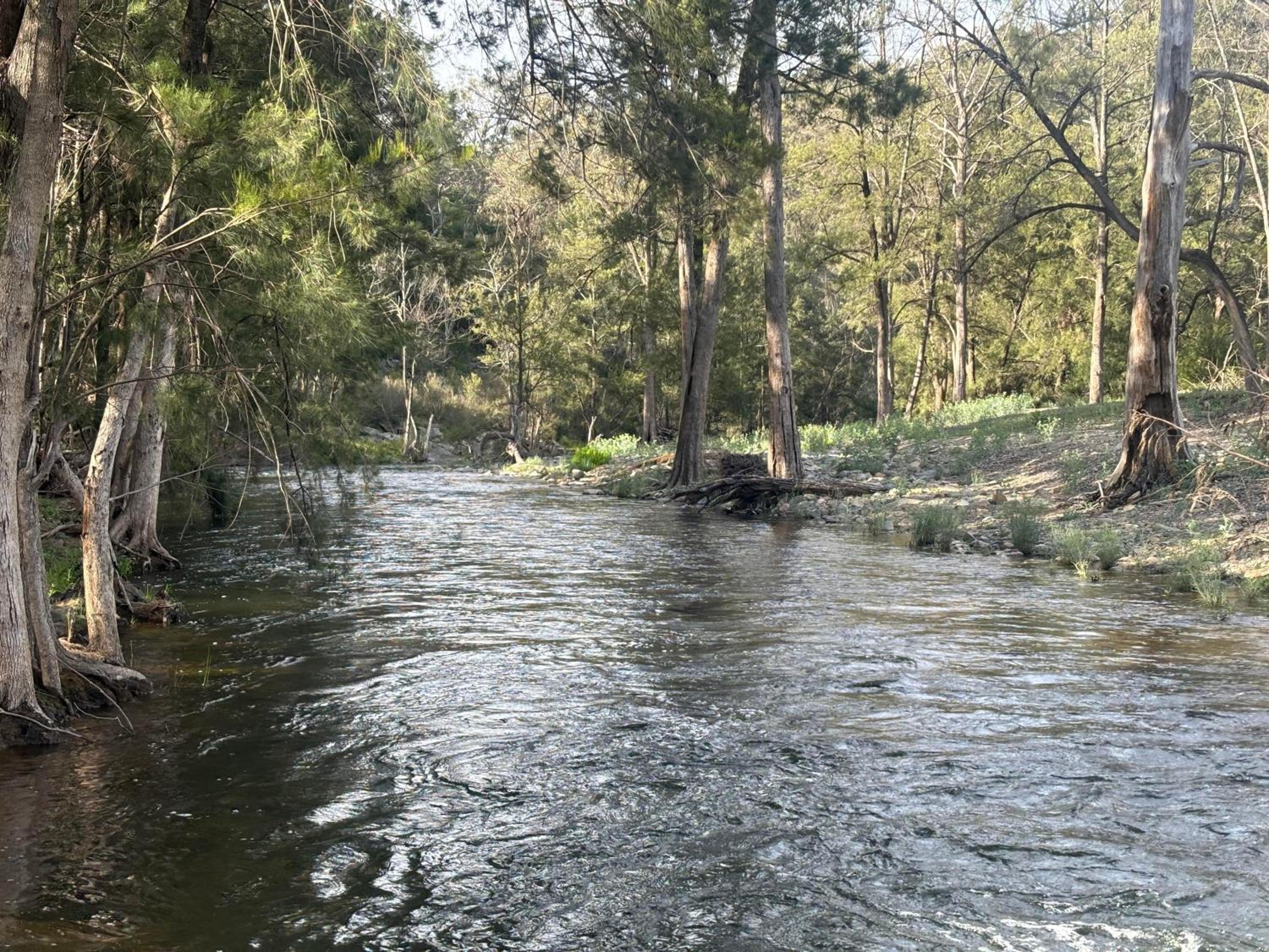 Tanwarra Lodge