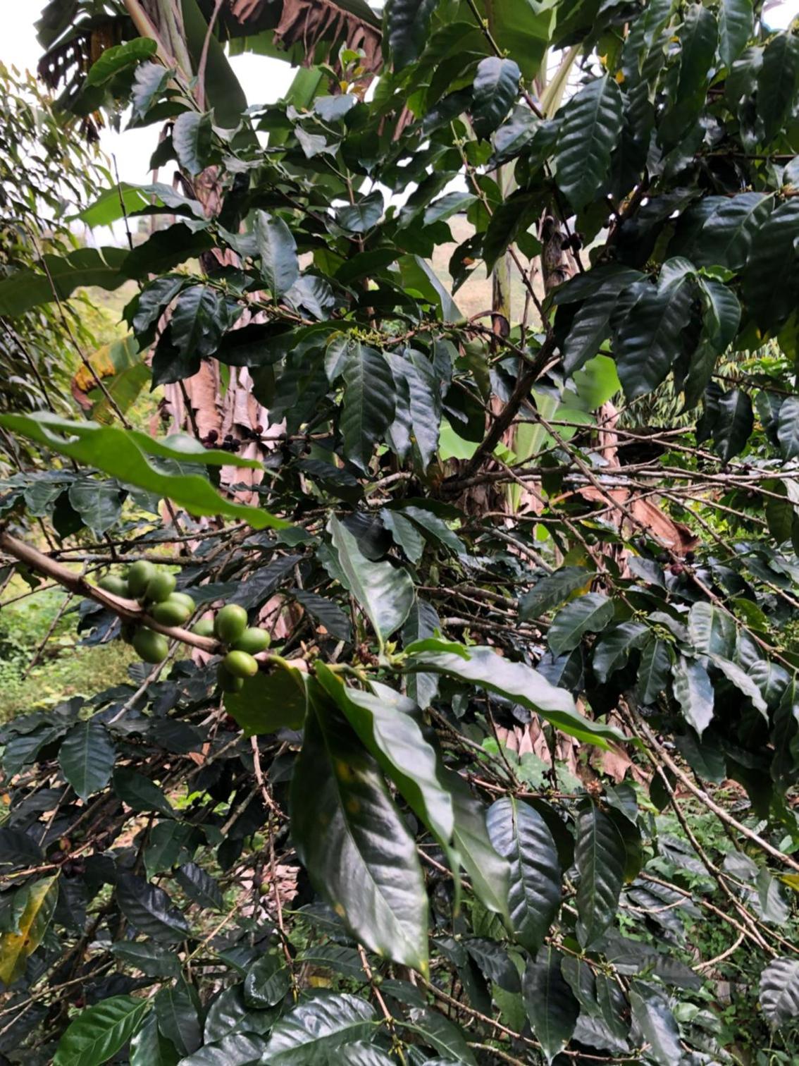Casa Campesina cerca a Embalse San Lorenzo